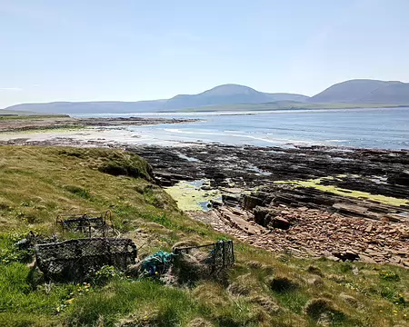 IMG_20250509_130318817_MFNR