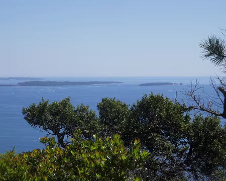 Les Îles de Lérins. À droite, l'île St Honorat où le saint est venu se réfugier (voir plus loin).