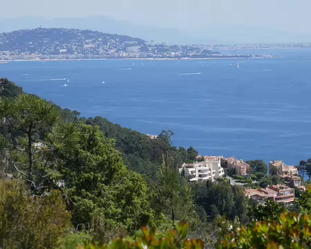 Au loin, Cannes.