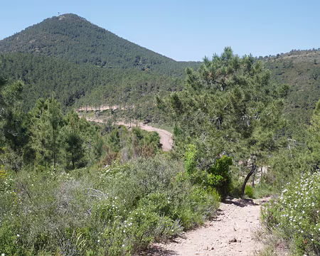 Chemin dans l'Esterel - loin des sentiers bleus...