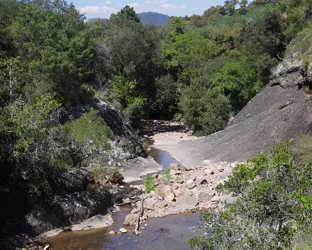 Ravin de Mourre Vieil. Près du Pont Sarrazin.