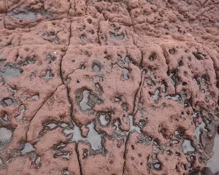 Quel géologue pourrait m'expliquer la formation de cette roche pleine de trous ?