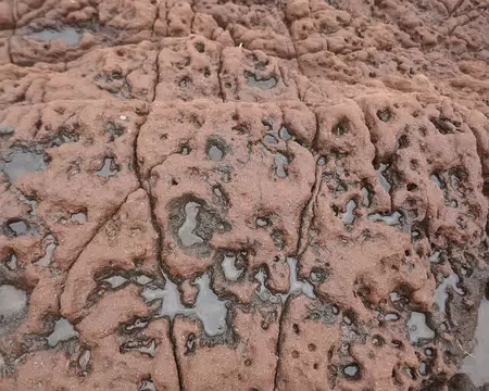 Quel géologue pourrait m'expliquer la formation de cette roche pleine de trous ?