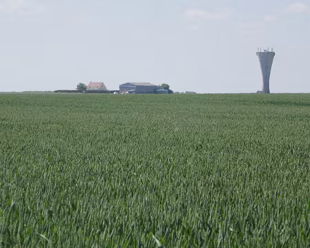 Ferme et château d'eau sur blé tendre. Où sont les coquelicots et les bleuets d'antan ?