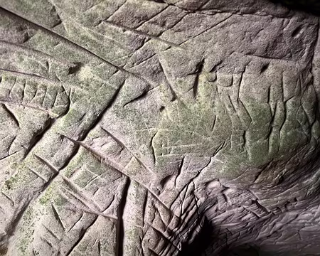 8589b854-cd27-43f6-81bc-66aa9ab54c1a