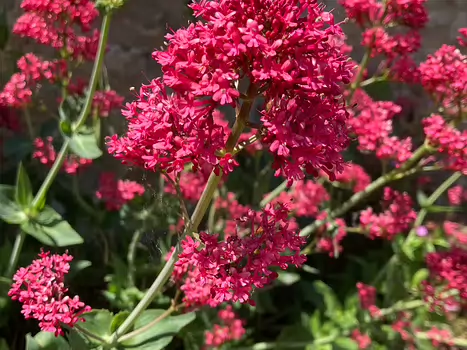 François François G, détail sortie