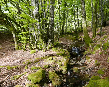 2025-05-03 18-15-30 Le ruisseau de Farrals derrière le Refuge du lac de Vezoles.