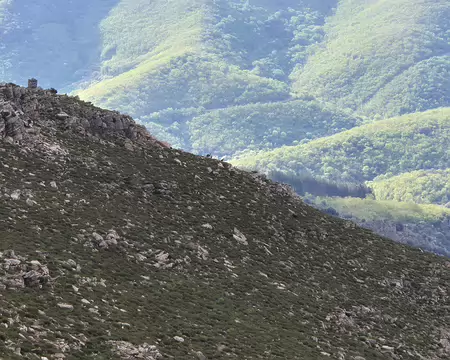 2025-05-07 09-00-43