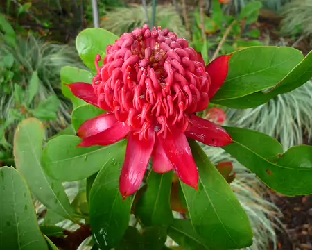 P1350926