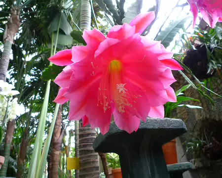 P1350971