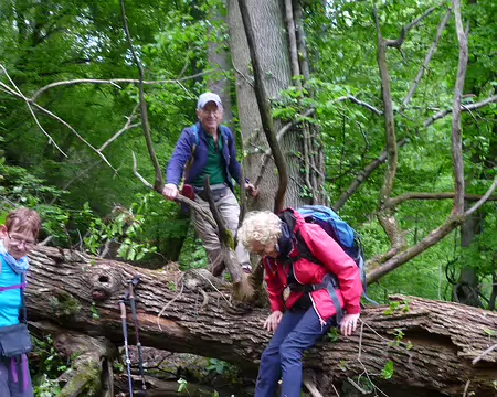 P1360006 Parcours sportif, poste 5.