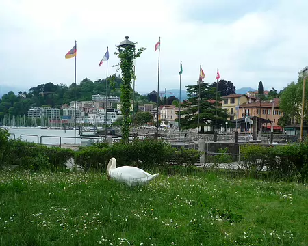 P1360013 Tondeuse sans carburant