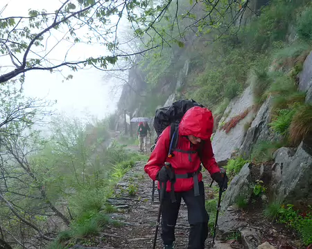 P1360017 Mais beaux chemins.