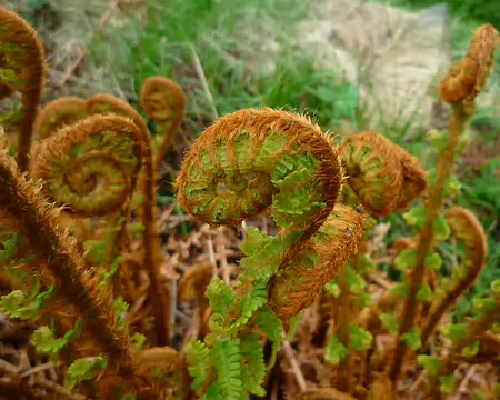 P1360059