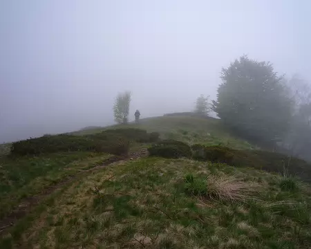 P1360060 Les crêtes du Mont Pernice dans la brume