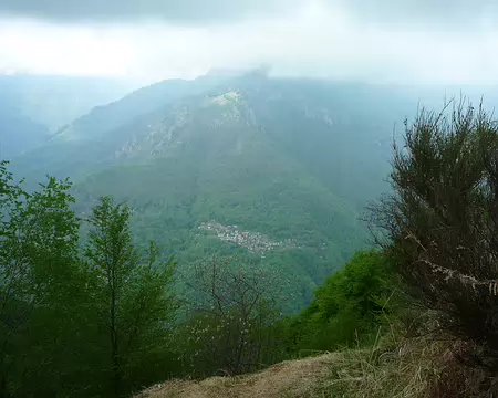 P1360067 Cicogna vu du ciel.