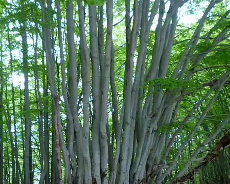 P1360069