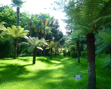 P1360080