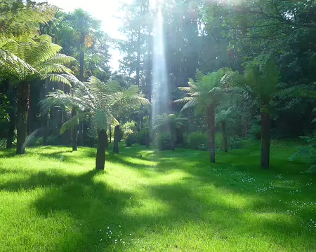 P1360081