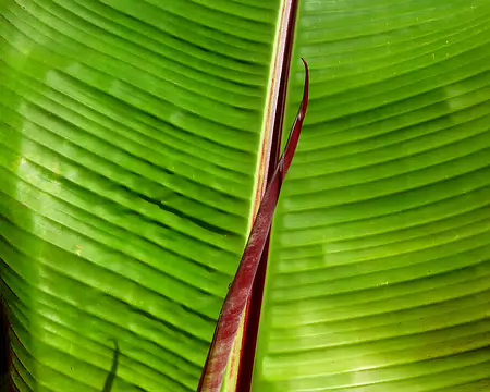 P1360082