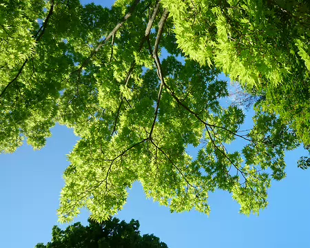 P1360085 Evidemment, grand beau le dernier jour !