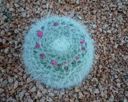 P1360111