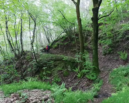 075 redescente en forêt