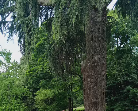 20250518_104614