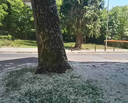 20250518_142607
