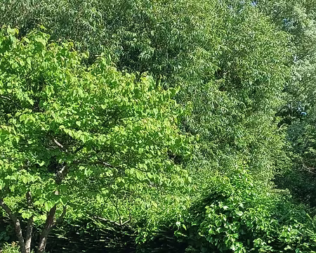 IMG-20250518-WA0007(1)