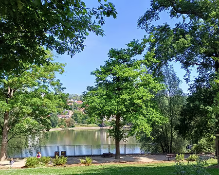 IMG-20250518-WA0008(1)