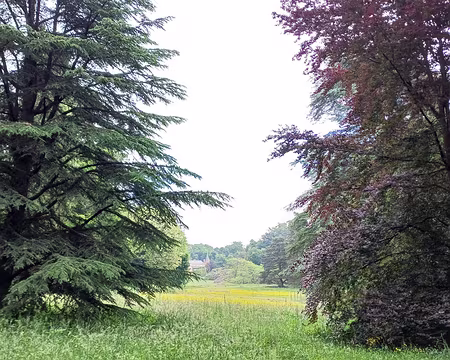 IMG-20250518-WA0009(1)