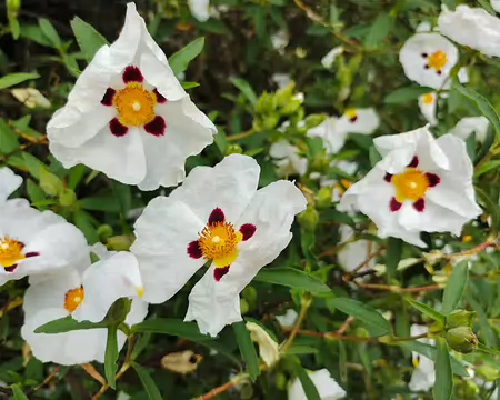 image0000001