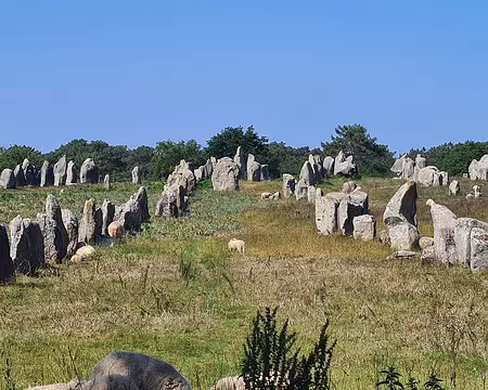 20250530_113252