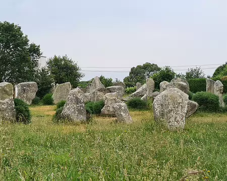 20250601_132619