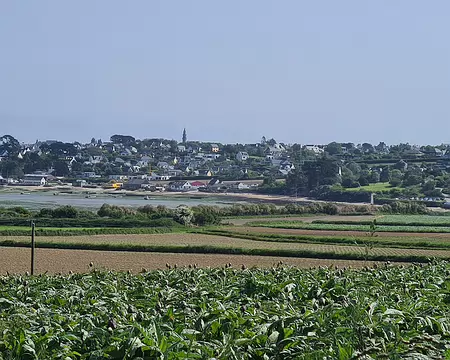 2025-05-09 11-29-13
