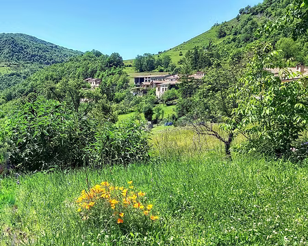 20250529_151330-01-02 Leychert