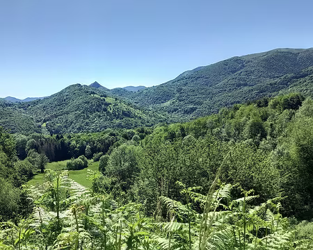 20250530_111453-01 J2 - Montségur en vue