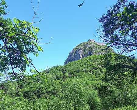20250530_135817-01 Montsegur sur son puig