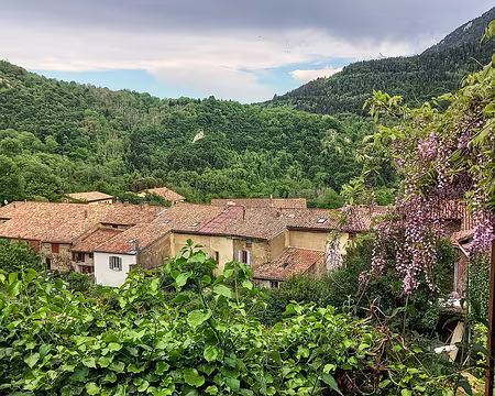 20250530_193649-01 Vue du jardin de Frédéric