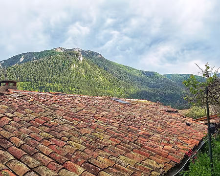 20250530_194143-01-01