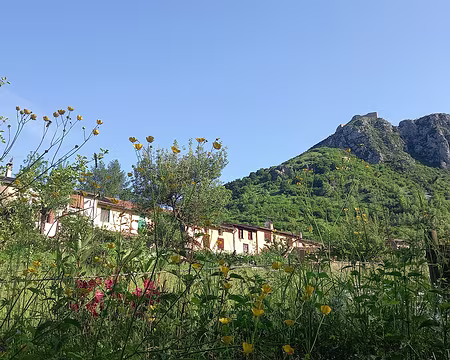 20250531_090226-01 Montségur dans le rétro