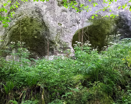 20250531_132848-01 L'eau a creusé le calcaire