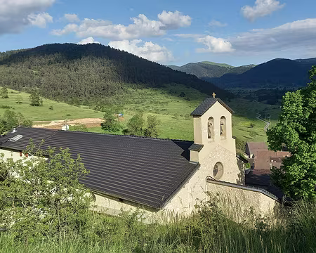 20250531_184951 Comus