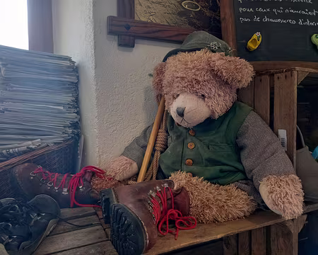 20250601_082514-01 J4- Nounours est prêt, nous aussi.