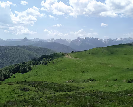 20250601_121506-01 Au col de Balaguès 1669 m, attention au troupeau de vaches allaitantes (le GR fait un détour pour les éviter).