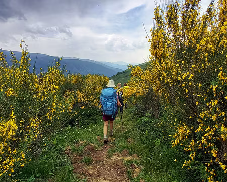 20250601_145306-01 Finalement on aura échappé à l'orage mais il fait bien lourd.