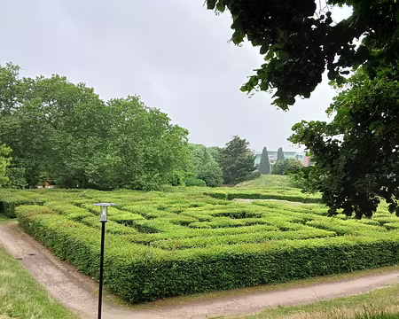 005 Le labyrinthe végétal (parc des sources de la Bièvre, Guyancourt)