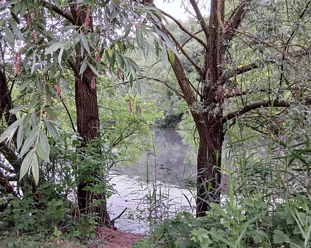 008 L’étang des Roussières (5 ha)