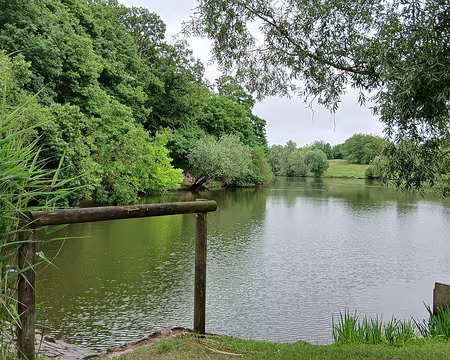 009 L’étang des Roussières a été aménagé en 1970 pour réguler les eaux pluviales